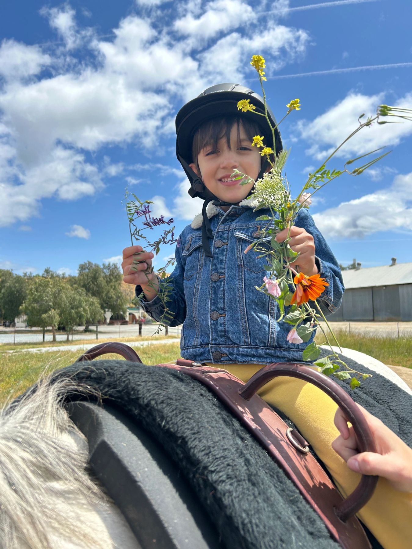 A young rider on horseback at Cooper's Calling